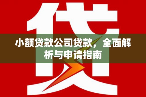 陵城小额贷款公司贷款，全面解析与申请指南