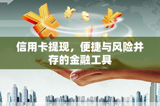 陵城信用卡提现，便捷与风险并存的金融工具