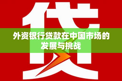 陵城外资银行贷款在中国市场的发展与挑战