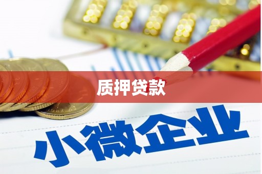 陵城质押贷款