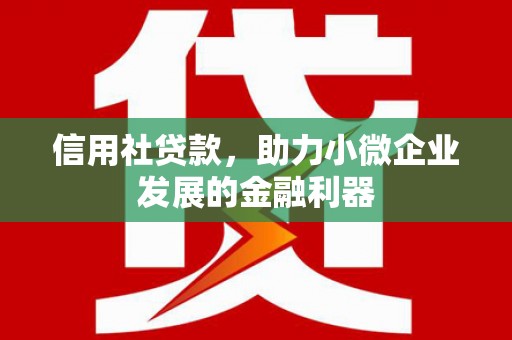 陵城信用社贷款，助力小微企业发展的金融利器
