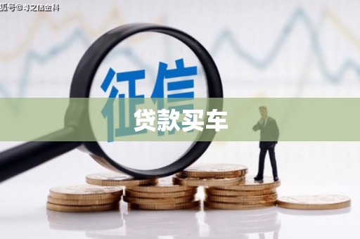 陵城贷款买车