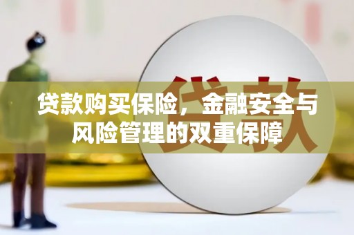 陵城贷款购买保险，金融安全与风险管理的双重保障