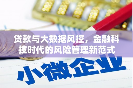 陵城贷款与大数据风控，金融科技时代的风险管理新范式