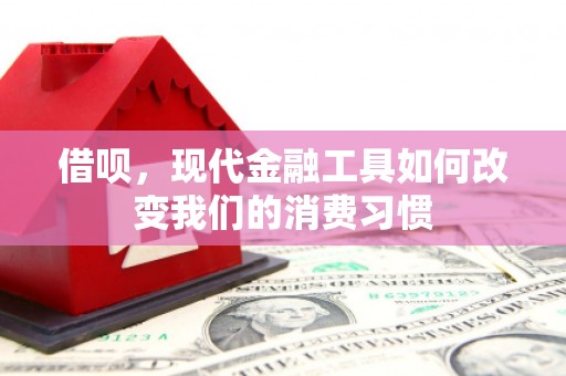 陵城借呗，现代金融工具如何改变我们的消费习惯