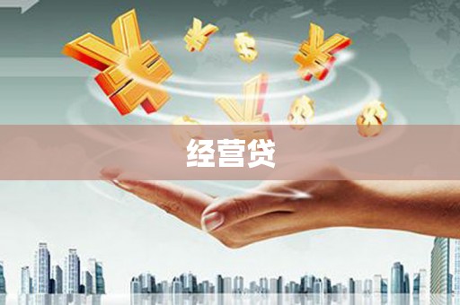 陵城经营贷