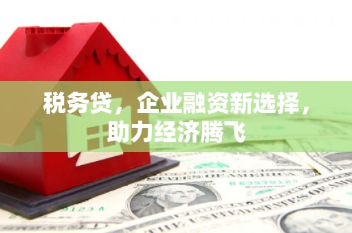 陵城税务贷，企业融资新选择，助力经济腾飞