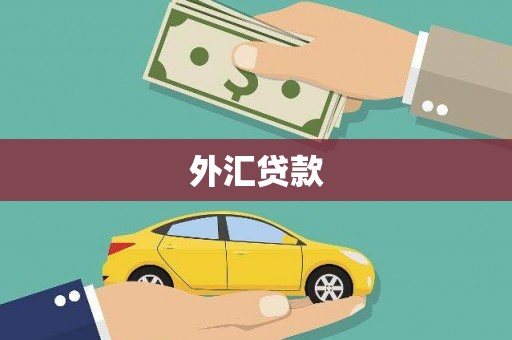 陵城外汇贷款