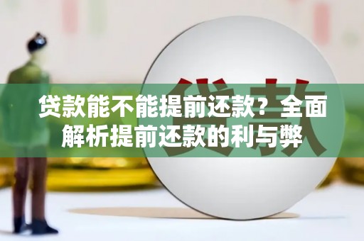 陵城贷款能不能提前还款？全面解析提前还款的利与弊