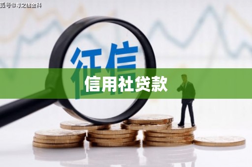 陵城信用社贷款