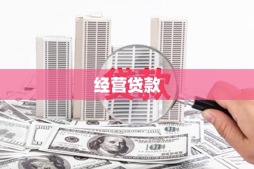 陵城经营贷款