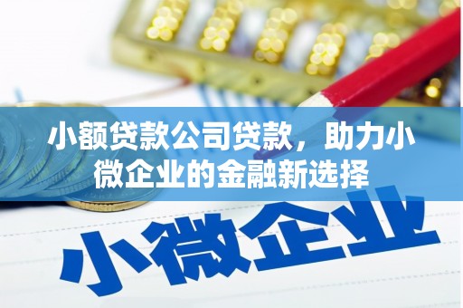 陵城小额贷款公司贷款，助力小微企业的金融新选择