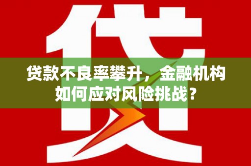 陵城贷款不良率攀升，金融机构如何应对风险挑战？
