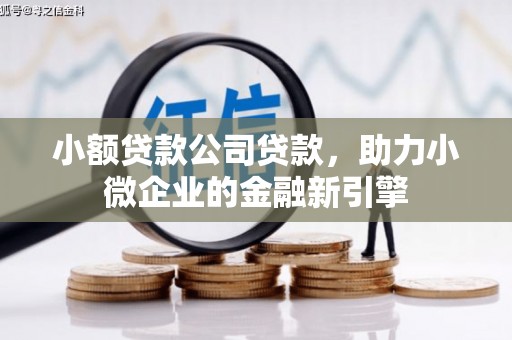 陵城小额贷款公司贷款，助力小微企业的金融新引擎