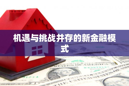陵城机遇与挑战并存的新金融模式