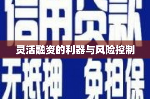陵城灵活融资的利器与风险控制