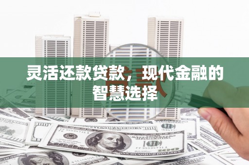 陵城灵活还款贷款，现代金融的智慧选择