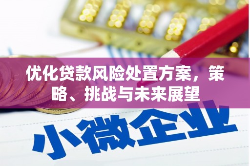 陵城优化贷款风险处置方案，策略、挑战与未来展望