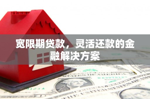 陵城宽限期贷款，灵活还款的金融解决方案