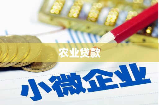 陵城农业贷款