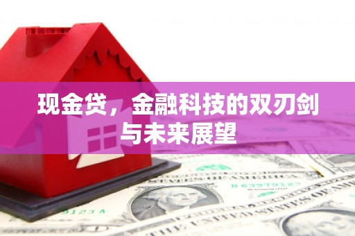 陵城现金贷，金融科技的双刃剑与未来展望