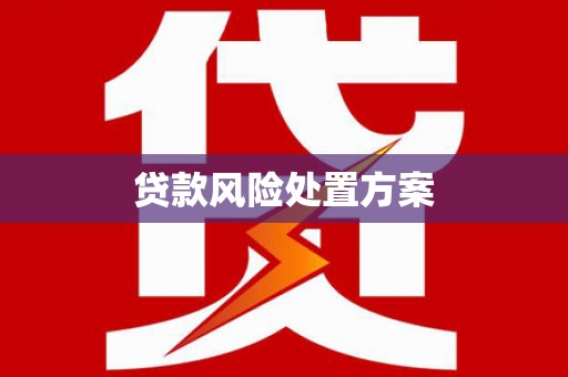 陵城贷款风险处置方案