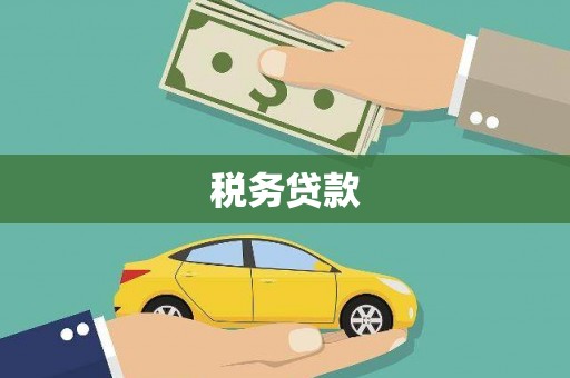 陵城税务贷款