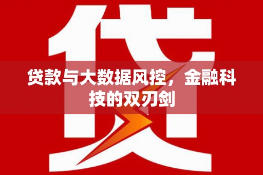 陵城贷款与大数据风控，金融科技的双刃剑