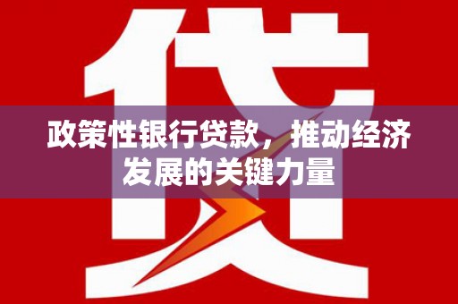 陵城政策性银行贷款，推动经济发展的关键力量