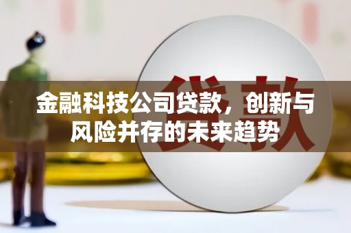 陵城金融科技公司贷款，创新与风险并存的未来趋势
