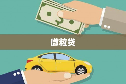 陵城微粒贷