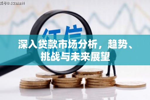 陵城深入贷款市场分析，趋势、挑战与未来展望