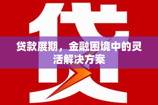 陵城贷款展期，金融困境中的灵活解决方案
