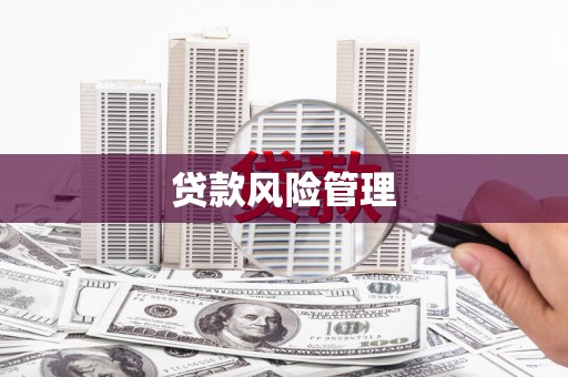 陵城贷款风险管理