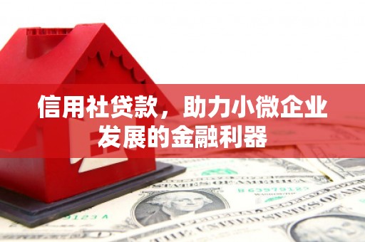 陵城信用社贷款，助力小微企业发展的金融利器