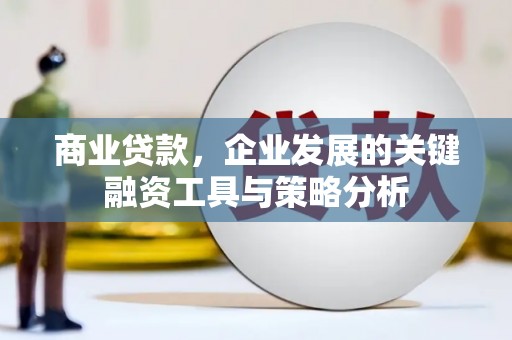 陵城商业贷款，企业发展的关键融资工具与策略分析