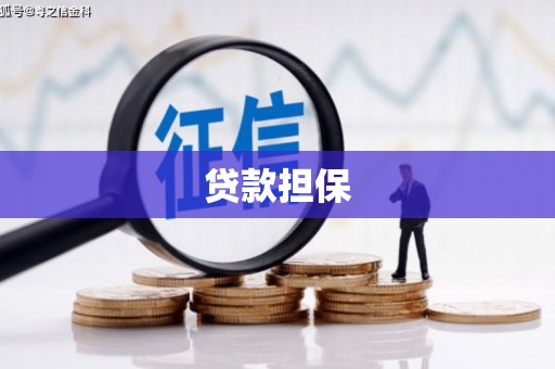 陵城贷款担保