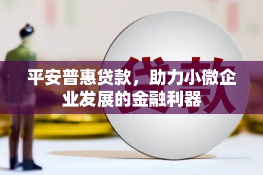 陵城平安普惠贷款，助力小微企业发展的金融利器