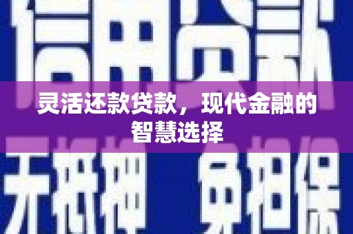 陵城灵活还款贷款，现代金融的智慧选择