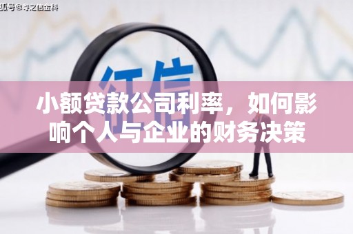 陵城小额贷款公司利率，如何影响个人与企业的财务决策