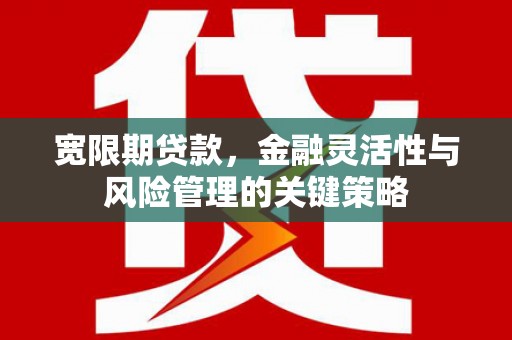 陵城宽限期贷款，金融灵活性与风险管理的关键策略