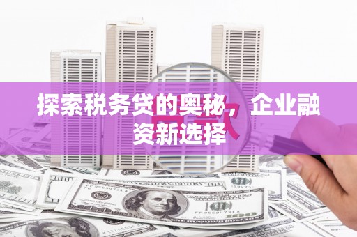 陵城探索税务贷的奥秘，企业融资新选择