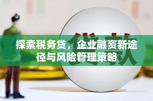 陵城探索税务贷，企业融资新途径与风险管理策略