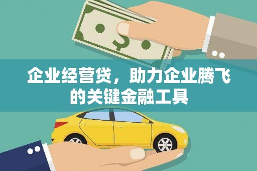 陵城企业经营贷，助力企业腾飞的关键金融工具