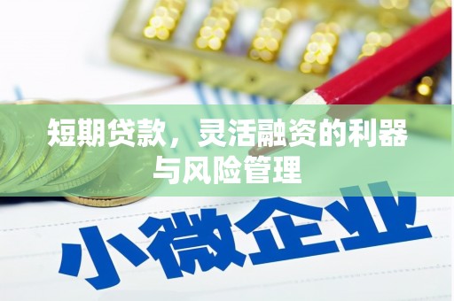 陵城短期贷款，灵活融资的利器与风险管理
