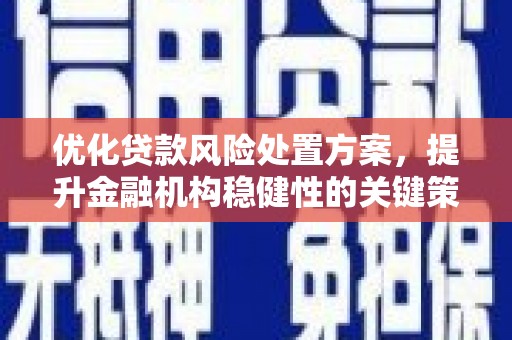 陵城优化贷款风险处置方案，提升金融机构稳健性的关键策略