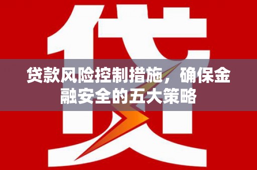 陵城贷款风险控制措施，确保金融安全的五大策略