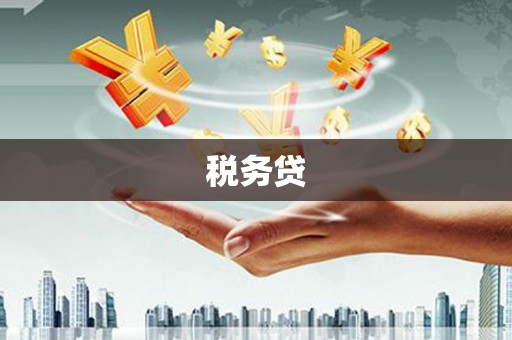 陵城税务贷