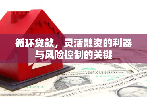 陵城循环贷款，灵活融资的利器与风险控制的关键
