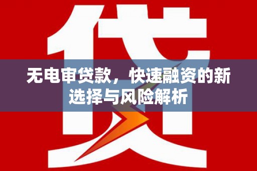 陵城无电审贷款，快速融资的新选择与风险解析